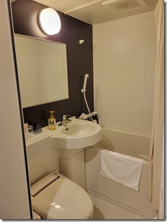 AB-Hotel-kyotosijyouhorikawa (9)