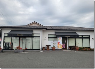 Choco-Bucky-cake (1)