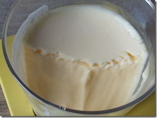 Grapefruit-pudding (12)