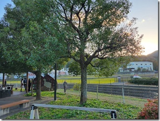 HOMURA-FIELD-takayamacamp (7)