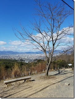 KYOTO-TRAIL-fusimi-fukakusa (33)