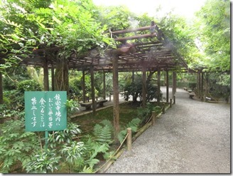 Ryoanji (55)