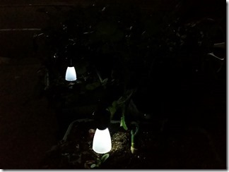 Solar-Light-CANDo (12)