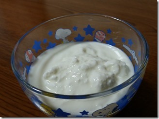 Yogurt Maker-make (32)