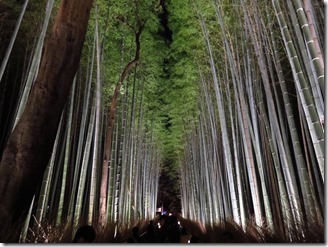 arasiyama-hanatouro-2016 (37)