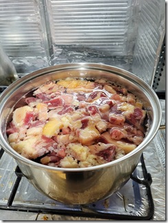 doteyaki (12)