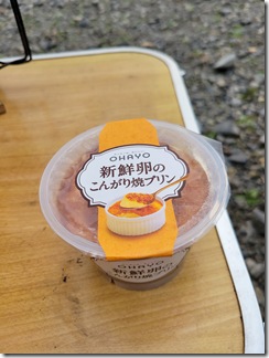 doteyaki (67)