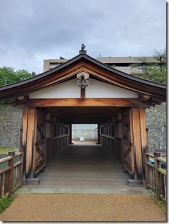 fukuijyouato (29)