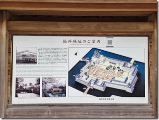 fukuijyouato (5)