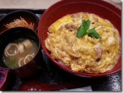 hinaijidori-oyakodon (2)