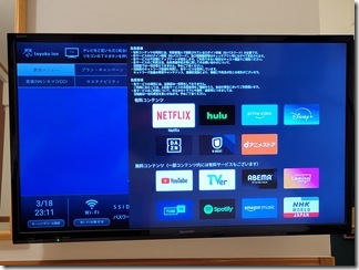 hirosimaryokou1ppakume (37)