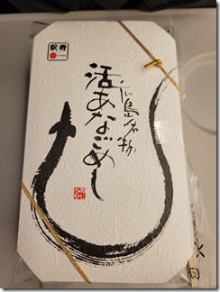 hirosimaryokou3hakume (126)