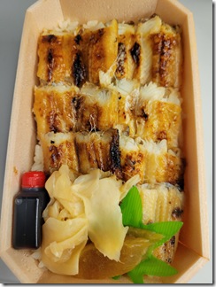 hirosimaryokou3hakume (129)