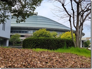 hirosimaryokou3hakume (5)