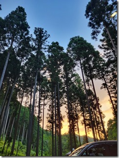 hiyoshi-forest-resort-camp (17)