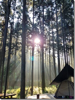 hiyoshi-forest-resort-camp (20)