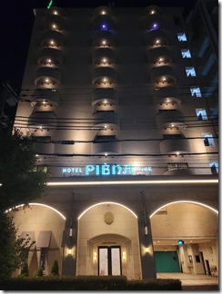 hotelpiena (36)