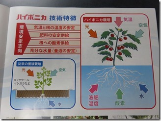 hyponica-tokutyou (2)