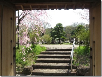 ikeda-sanpo (49)