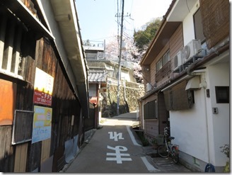 ikeda-sanpo (9)