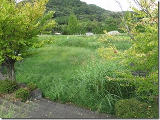 kamogawa-warking (44)