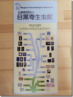 kiseityuukan (24) kiseityuukan (24)