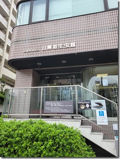 kiseityuukan (3)