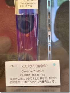 kiseityuukan (6)