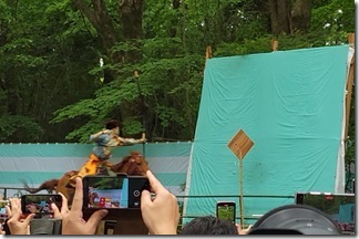 kisyayabusamesinnji (24-1)