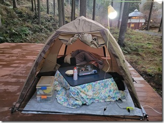 kotatuwotukattenofuyukyan (1)