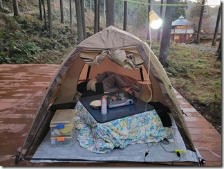 kotatuwotukattenofuyukyan (2)