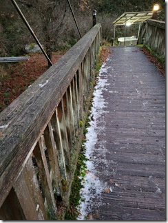 kotatuwotukattenofuyukyan (3)