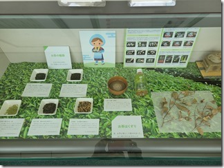 kusurigakusyuukan (100)