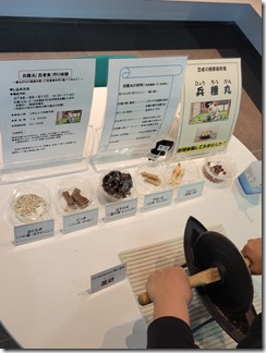 kusurigakusyuukan (6)