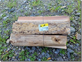 kuwanobasikasenkouen (3)