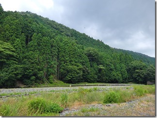 kuwanohasikawasenkouen (11)