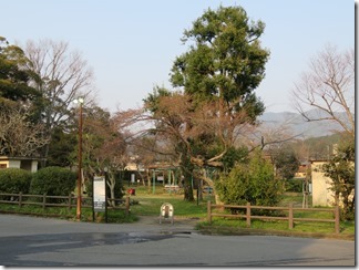 kyoto-iwakura (29)