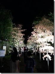 kyounotanabata (7)