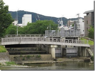 misosokigawa-kamogawa-hotaru-sijyoumade (9)