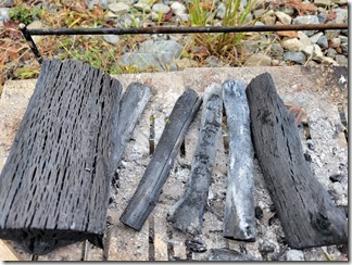 mitinoekikutukisinhonjin (10)