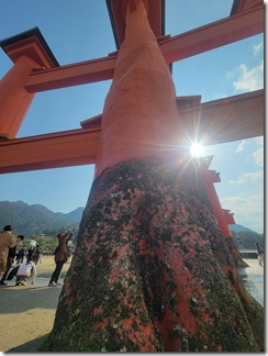 miyajima (42)