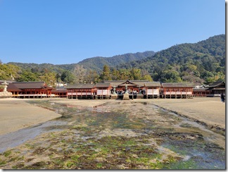miyajima (50)