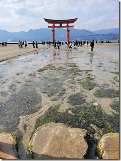 miyajima (54)