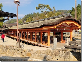 miyajima (73)