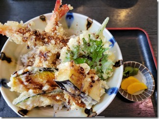 miyata (4)