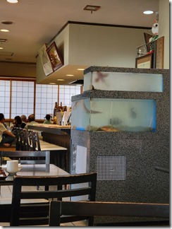 miyata (7)