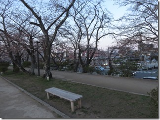 nagaokatenmanguu-sakura-raitoappu (15)