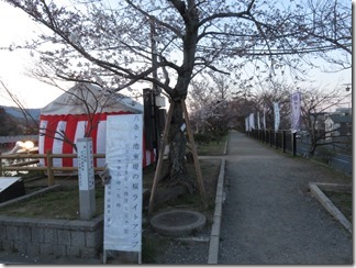 nagaokatenmanguu-sakura-raitoappu (2)