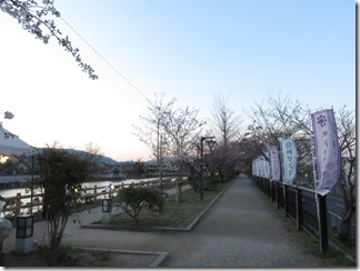 nagaokatenmanguu-sakura-raitoappu (4)