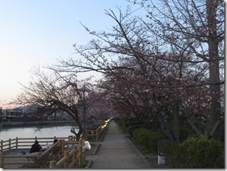 nagaokatenmanguu-sakura-raitoappu (7)